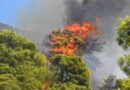 Εκδήλωση πυρκαγιάς σε χαμηλή βλάστηση στην περιοχή της Βρύσης Παγγαιου. Τελικά τέθηκε υπο έλεγχο.