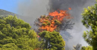 Εκδήλωση πυρκαγιάς σε χαμηλή βλάστηση στην περιοχή της Βρύσης Παγγαιου
