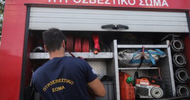Φωτιά σε όχημα λίγο μετά το τούνελ του Παληού. Eπεκτάθηκε σε παρακείμενη δασική περιοχή