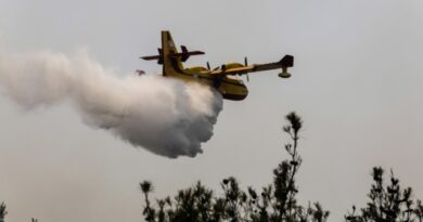 Πυρκαγιά στην παραλία Οφρυνίου. Τέθηκε υπο μερικό έλεγχο