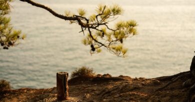 ΕΝΩΣΗ ΞΕΝΟΔΟΧΩΝ ΘΑΣΟΥ – Η Θάσος ταξιδεύει στη φινλανδική αγορά