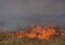 Οργή στις Πηγές του Δήμου Νέστου για απερίσκεπτο κάτοικο που έβαλε φωτιά σε ξερά χόρτα