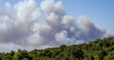Φωτιά στη Σίβηρη Χαλκιδικής: Μπαράζ μηνυμάτων από το 112. Εκκενώνονται Σίβηρη και Φούρκα